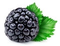 One ripe blackbery with green leaf clipping path Royalty Free Stock Photo