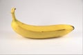 Long ripe banana on white background