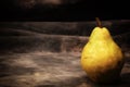 One ripe bosc pear on gray studio backdrop