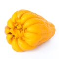 Studio shot single bright yellow Fingered Citron Buddha Hand citrus isolated on white Royalty Free Stock Photo