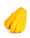 Studio shot single bright yellow Fingered Citron Buddha Hand citrus isolated on white Royalty Free Stock Photo