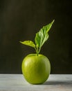 One ripe green apple on dark background.