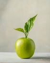 One ripe green apple isolated on a neutral background.