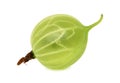 One ripe green gooseberry (isolated)