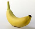 One ripe little banana on a white background