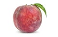 One ripe peach Royalty Free Stock Photo