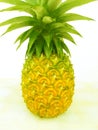 One ripe pineapple Royalty Free Stock Photo