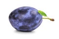 One ripe plum with green leaf Royalty Free Stock Photo