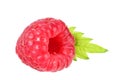 one ripe raspberry with green leaf isolated on white background macro Royalty Free Stock Photo