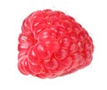 one ripe raspberry isolated on white background macro Royalty Free Stock Photo