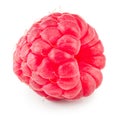 One ripe raspberry isolated on white background. macro. clipping path Royalty Free Stock Photo