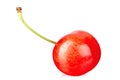 One ripe red cherry on a stalk. Isolated on white background Royalty Free Stock Photo