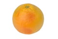 One ripe red grapefruit Royalty Free Stock Photo