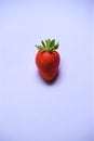 One ripe red strawberry on white background Royalty Free Stock Photo