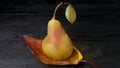 One  pear on a autumn leaf on a black wooden table Royalty Free Stock Photo