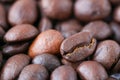 one roasted coffee bean background extra macro close up on heap upset down grains, top view