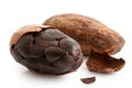One roasted partly peeled and one unpeeled cocoa bean isolated on white