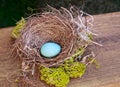 One Robin's Egg in Nest