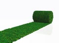 One roll of grass carpet Royalty Free Stock Photo