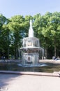 One of the Roman fountains in the park over green trees and blue sky, Peterhof, St. Petersburg Royalty Free Stock Photo