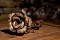 One rose forged from metal, lies on the blacksmith\'s workbench.