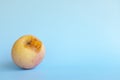 One rotten, bruised, stale or bad apple isolated in blue background. Food waste and poor agricultural crop quality concept.