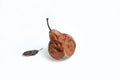 One rotten overripe pear with mold on a white background. Close-up, copy space. Concept - reduction of organic or food waste