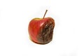 One rotten and uneatable apple. Royalty Free Stock Photo