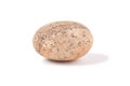 One round smooth pebble stone Royalty Free Stock Photo