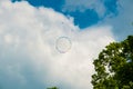 One round soap bubble on the blue sky, with trees in the background