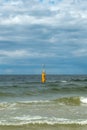 Seagull on the top of a metal pole