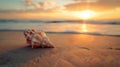 One seashell shell lies on the sandy shore of the sea