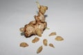 one segment of ginger is good for health