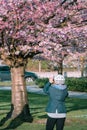 One seniors woman taking cherry blossoming picture with smartphone