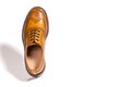 One Separate Male Tan Brogue Oxford Shoe. Isolated