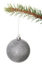 One separated christmas ball handing on a fir. Royalty Free Stock Photo