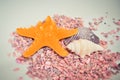 One or a set of several different shells and starfish on a small pink stones Royalty Free Stock Photo