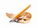 One sharp graphite pencil and shavings on white background, closeup. Royalty Free Stock Photo