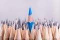 One sharpened blue pencil among many ones Royalty Free Stock Photo