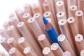 One sharpened blue pencil among many ones Royalty Free Stock Photo