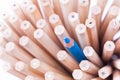 One sharpened blue pencil among many ones Royalty Free Stock Photo
