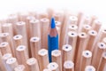 One sharpened blue pencil among many ones Royalty Free Stock Photo