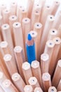 One sharpened blue pencil among many ones Royalty Free Stock Photo