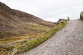 One Sheep in Irish Mountains Royalty Free Stock Photo