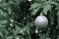 one shiny silver balloon hangs on a lively green Christmas tree. Greeting card. Happy new year.