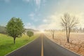 One side of the road shows the green nature, and the other side shows the dryness, dead trees, broken soil.Global warming and Royalty Free Stock Photo