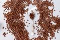 Spoon full of coffee beans with roasted beans as background Royalty Free Stock Photo