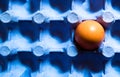 One single egg sitting in blue cardboard egg rack. Top view or flat lay with copy space Royalty Free Stock Photo