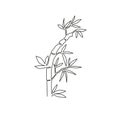 One single line drawing of bamboo trees for plantation logo identity. Fresh evergreen perennial flowering plant concept for plant Royalty Free Stock Photo