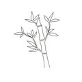 One single line drawing of bamboo trees for plantation logo identity. Fresh evergreen perennial flowering plant concept for plant Royalty Free Stock Photo